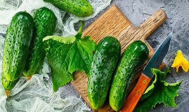 Cucumber diet for weight loss
