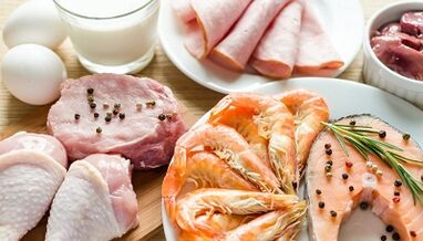 What foods can and cannot be eaten on a protein diet